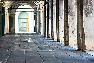 Kunst-Reise-Venedig-Dante-Alighieri-KunstBox-_DSC9784-by-FOTO-FLAUSEN